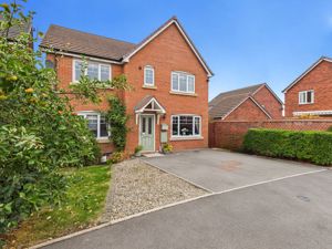 Front- click for photo gallery